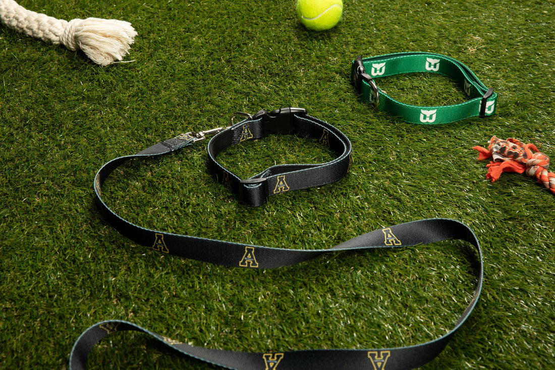 Hartford Whalers Dog Collar